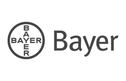 Corp-Logo_BG_Bayer-Cross-Logotype_Basic_on-screen_RGB